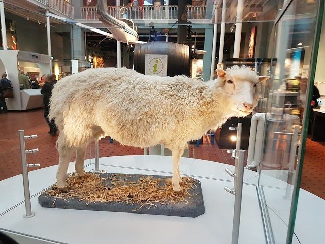 Museo Nazionale Scozzese